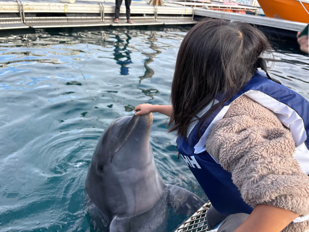 ハッピードルフィンプログラムでイルカの口先をなでる子ども