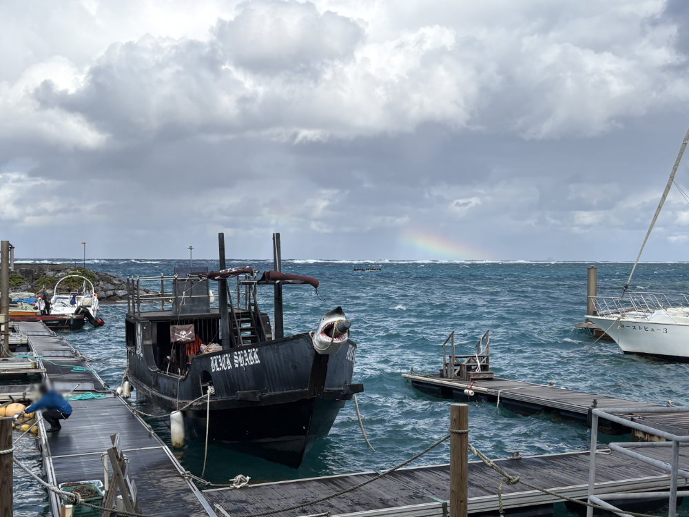 トレジャーハンティングで乗る船