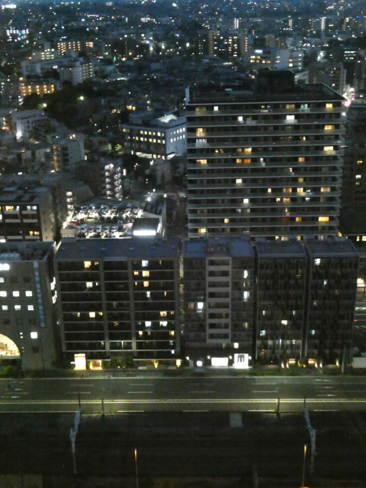 今回のお部屋からの景色。