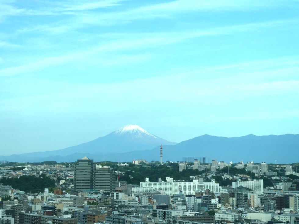 富士山が綺麗に見えました。
